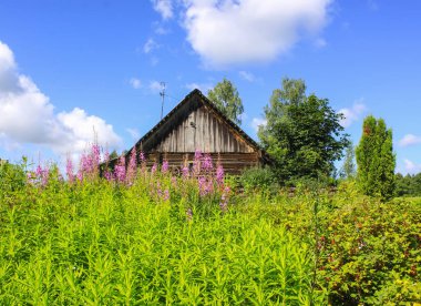 Eski ahşap bina ve parlak kır çiçekleriyle yaz manzarası.