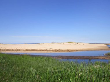 Letonya 'da deniz manzarası, Beyaz Kumul, Saulkrasti.