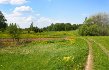 Letonya, Doğu Avrupa 'da güzel bahar manzarası
