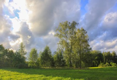 Güzel bulut manzarası. Parlak gökyüzü ve ormanla gün batımı manzarası.
