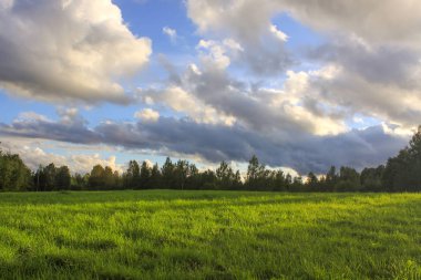 Güzel bulut manzarası. Parlak gökyüzü ve ormanla gün batımı manzarası.