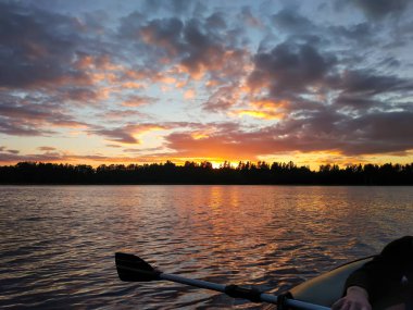 Yaz akşamları yüzeyi göl yüzeyi ve şişme bot kürek parçalarıyla kaplı. Letonya, Doğu Avrupa.