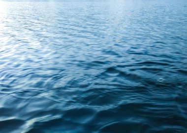 Letonya, Doğu Avrupa 'da sakin bir göl yüzeyi. Yaz günbatımı manzarası Su ve ormanla.