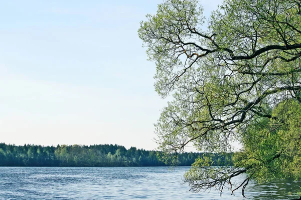 Landschaft Mit See Lettland Osteuropa Vorfrühling — Stockfoto