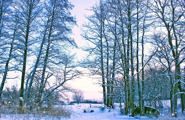 Krajina Zamrzlým Jezerem Lotyšsku Východní Evropa — Stock fotografie