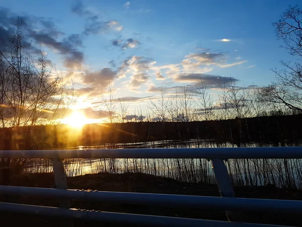 Frumos Peisaj Noros Peisaj Apus Soare Cer Luminos Pădure — Fotografie, imagine de stoc