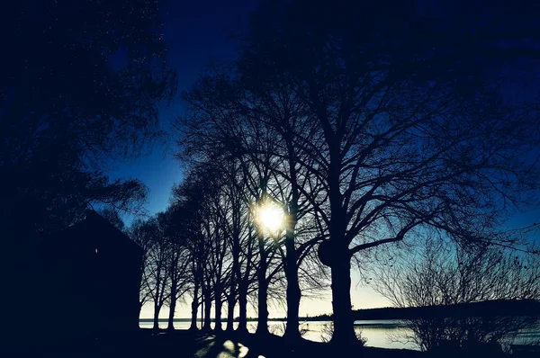 Paisagem Noturna Com Silhuetas Escuras Árvores Água — Fotografia de Stock
