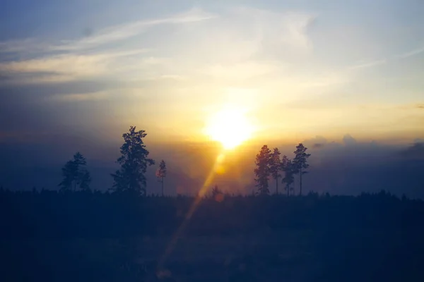 Sommar Solnedgång Landskap Med Träd Och Fält — Stockfoto