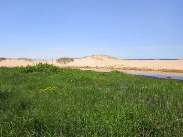 Letonya 'da deniz manzarası, Beyaz Kumul, Saulkrasti.