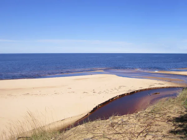 Paysage Marin Lettonie Dune Blanche Saulkrasti — Photo