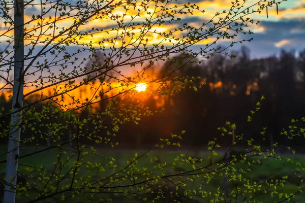 乡村的春景 四月美丽的落日 — 图库照片