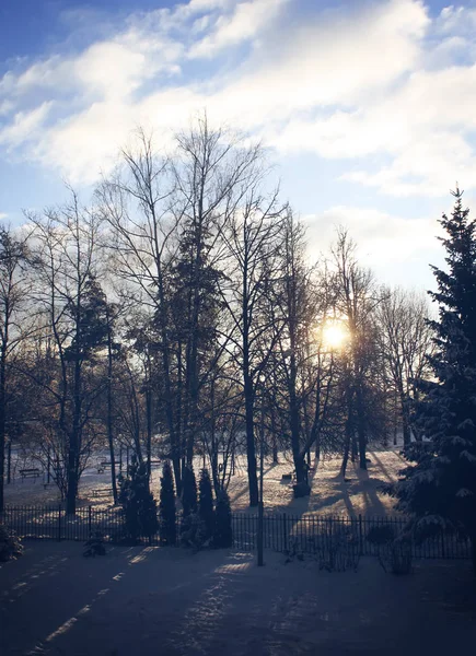 Winter Landscape Riga Latvia East Europe — Stock Photo, Image