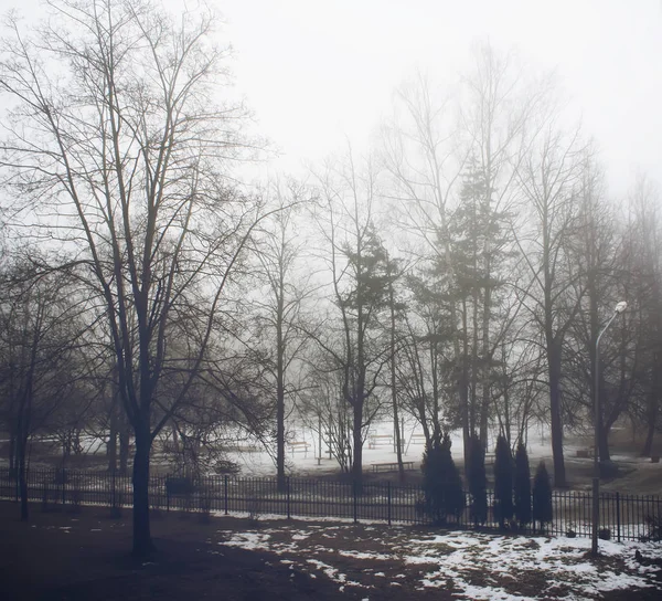 Neblige Winterlandschaft Mit Kahlen Bäumen Park — Stockfoto