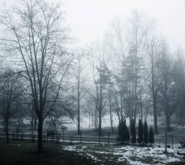 Neblige Winterlandschaft Mit Kahlen Bäumen Park — Stockfoto