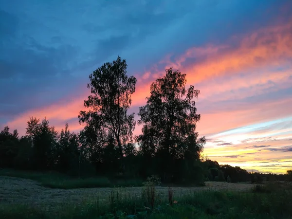 Gyönyörű Felhő Naplemente Táj Fényes Erdő — Stock Fotó