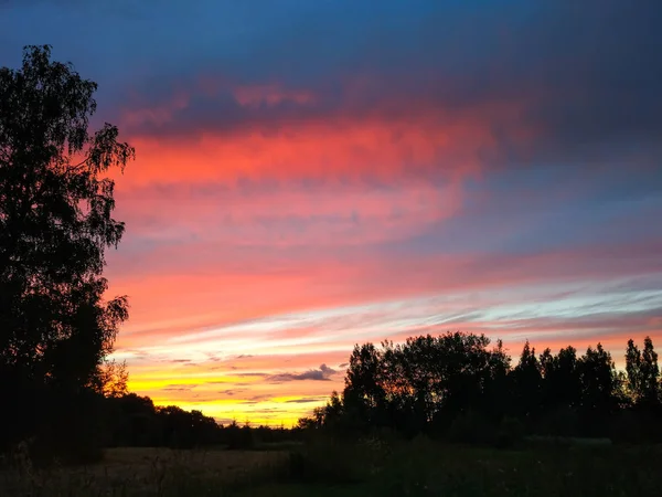 Bellissimo Paesaggio Nuvoloso Tramonto Paesaggio Con Cielo Luminoso Foresta — Foto Stock