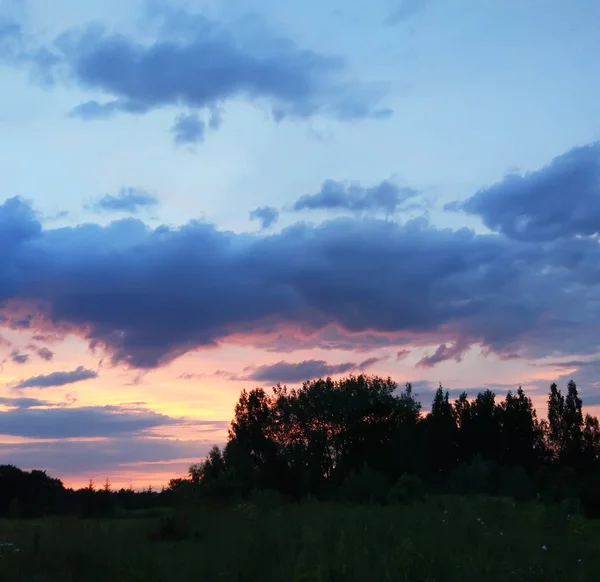 Smukke Skyer Solnedgang Landskab Med Lys Himmel Skov - Stock-foto