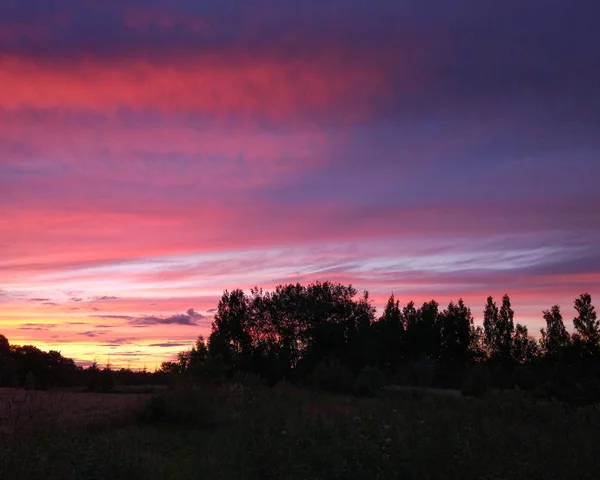 Bellissimo Paesaggio Nuvoloso Tramonto Paesaggio Con Cielo Luminoso Foresta — Foto Stock