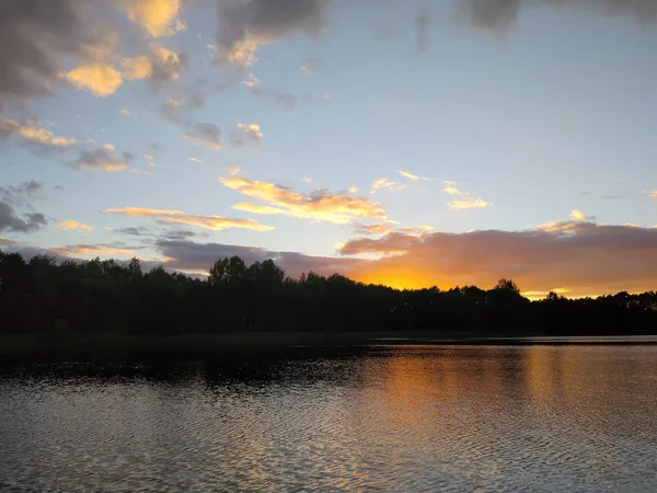 Calm Lake Surface Evening Latvia East Europe Summer Sunset Landscape — Stock Photo, Image