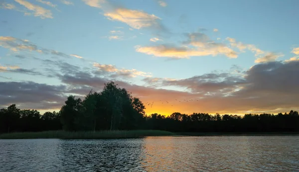 Sjön Lettland Med Liten Sommarlandskap Med Lugnt Vatten Solnedgång Himmel — Stockfoto