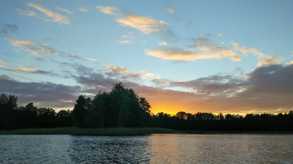 See Lettland Mit Kleiner Insel Sommerlandschaft Mit Ruhigem Wasser Sonnenuntergangshimmel — Stockfoto