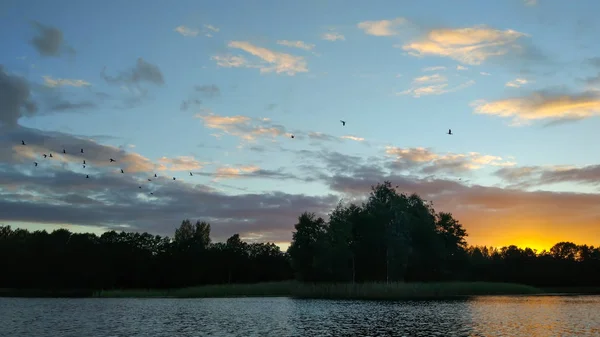 Lago Letonia Con Pequeña Isla Paisaje Verano Con Aguas Tranquilas —  Fotos de Stock