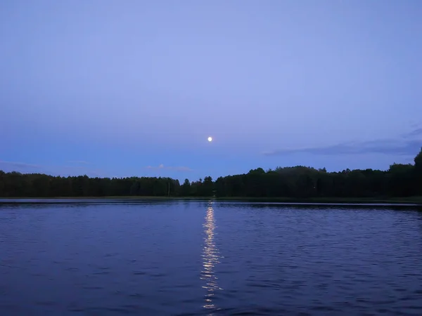 Superfície Calma Lago Noite Letônia Europa Oriental Verão Pôr Sol — Fotografia de Stock