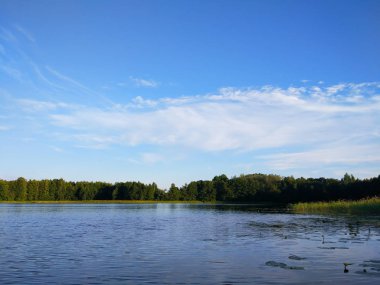 Letonya, Doğu Avrupa 'da sakin bir göl yüzeyi. Yaz günbatımı manzarası Su ve ormanla.