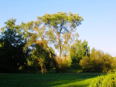 Letonya, Doğu Avrupa 'da güzel bahar manzarası