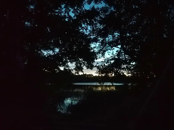 Superficie del lago por la noche en Letonia, Europa del Este. Paisaje con agua y bosque . — Foto de Stock