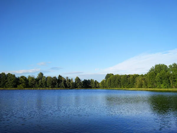 Sjöns yta på kvällen i Lettland, Östeuropa. Landskap med vatten och skog. — Stockfoto