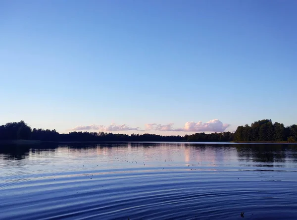 Superficie del lago alla sera in Lettonia, Europa dell'est. Paesaggio con acqua e foresta . — Foto Stock