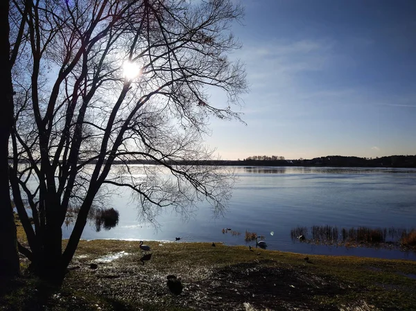 Stadslandskap med träd på flodkusten — Stockfoto