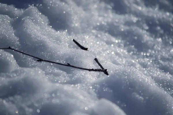 雪の表面を溶かす — ストック写真