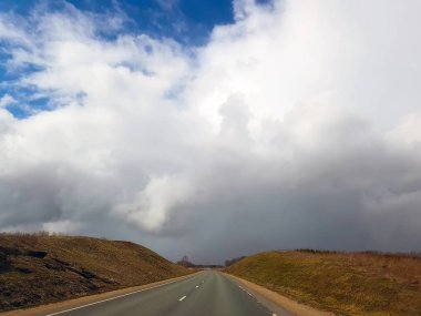 Bahar çam ormanı içinde asfalt yol