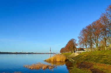 Ekim ayında mavi gökyüzü ve sonbahar ağaçlarıyla şehir manzarası.