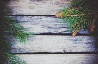 Eski ahşap arka planda konileri olan ladin dalı yakın plan.