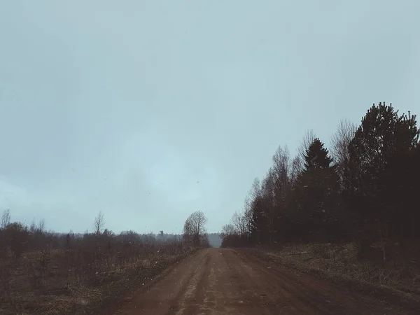 Estradas Árvores Campo — Fotografia de Stock