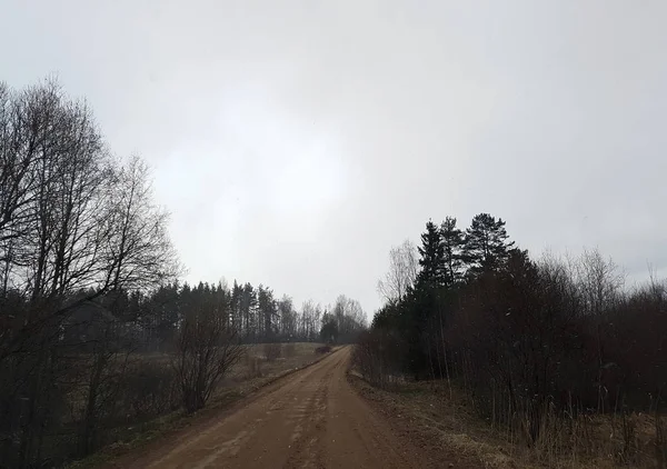 Krajobraz Asfaltową Drogą Lasem Zimą — Zdjęcie stockowe