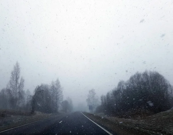 Krajobraz Asfaltową Drogą Lasem Zimą — Zdjęcie stockowe