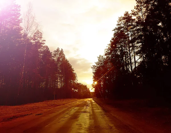 Frühlingslandschaft Mit Straße Und Wald — Stockfoto