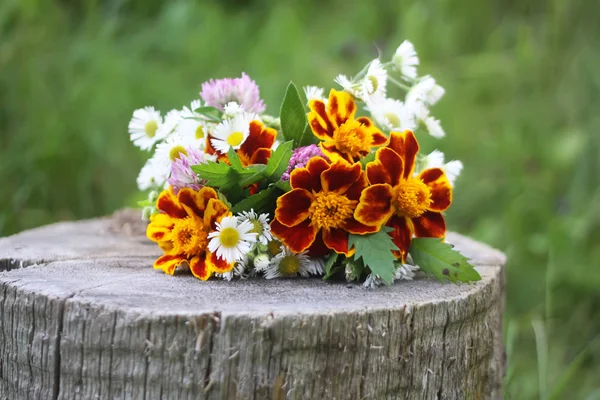 Yellow Marigolds Ortagetes Erecta Flowers — Stock Photo, Image