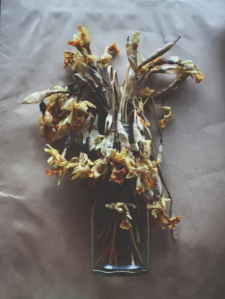 Сухие Нарциссы Нарцисс Цветы Старом Бумажном Фоне Стоковое Фото