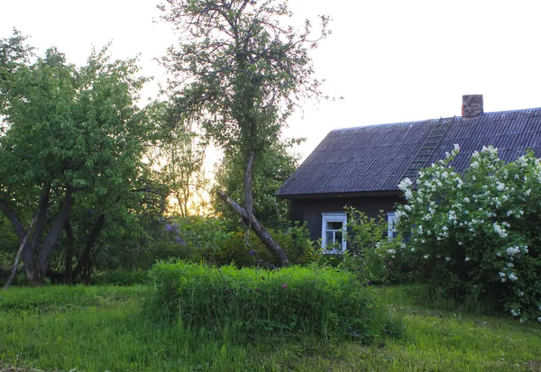 Paysage Estival Avec Ancienne Maison Rurale Petit Jardin Campagne — Photo