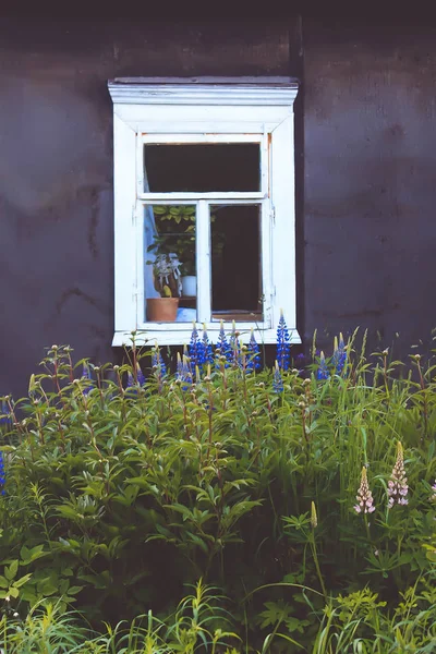 Fragment Old Rural House East Europe Wooden Window Blooming Flowers — 스톡 사진