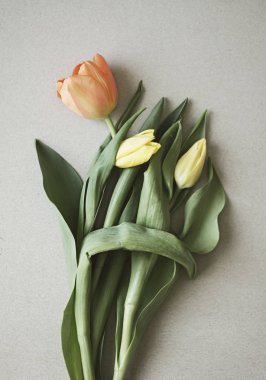 Güzel bir buket lale çiçeği.