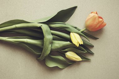 Güzel bir buket lale çiçeği.