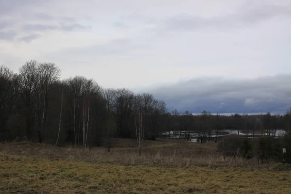 Schöne Herbstlandschaft Mit Bäumen Und Wolken — Stockfoto