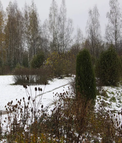 Wunderschöne Landschaft Mit Schneebedeckten Bäumen — Stockfoto