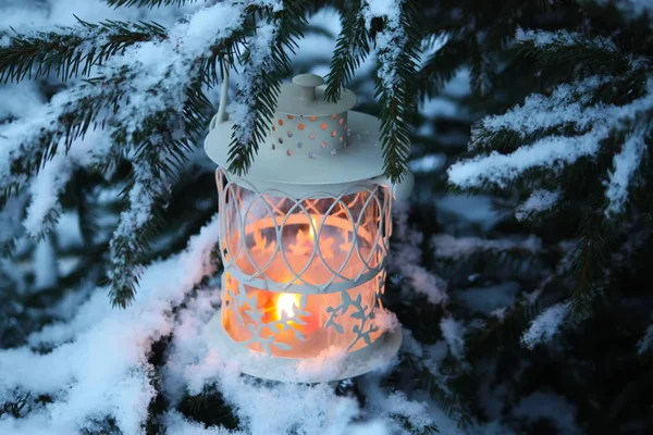 Latarnia Bożonarodzeniowa Płonącą Świecą Zimowym Tle Natury — Zdjęcie stockowe